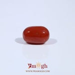 Red Coral - 3.03 Carat