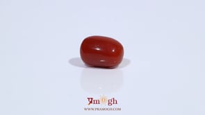 Red Coral - 3.65 Carat