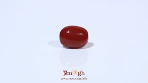 Red Coral - 2.84 Carat