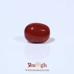 Red Coral - 2.84 Carat