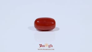 Red Coral - 3.62 Carat