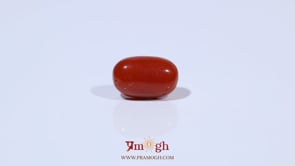 Red Coral - 3.6 Carat
