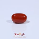 Red Coral - 3.6 Carat