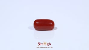 Red Coral - 3.65 Carat
