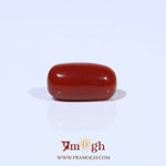Red Coral - 3.65 Carat