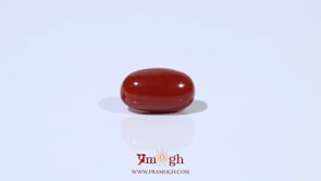 Red Coral - 3.09 Carat