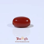 Red Coral - 3.09 Carat
