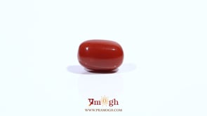 Red Coral - 3.77 Carat