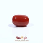 Red Coral - 3.77 Carat