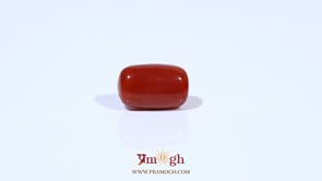 Red Coral - 3.6 Carat