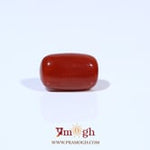 Red Coral - 3.6 Carat