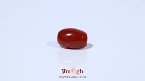 Red Coral - 3.2 Carat