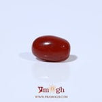 Red Coral - 3.2 Carat