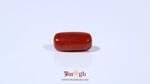 Red Coral - 3.73 Carat