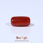 Red Coral - 3.73 Carat