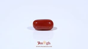 Red Coral - 3.89 Carat