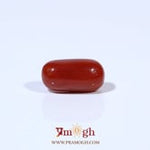 Red Coral - 3.89 Carat