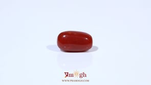 Red Coral - 3.62 Carat