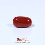 Red Coral - 3.62 Carat