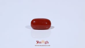 Red Coral - 3.35 Carat