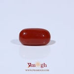 Red Coral - 3.35 Carat