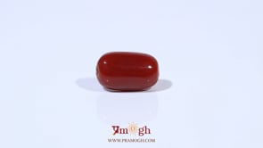 Red Coral - 3.41 Carat