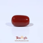 Red Coral - 3.41 Carat