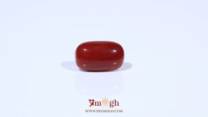 Red Coral - 3.46 Carat
