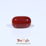 Red Coral - 3.46 Carat