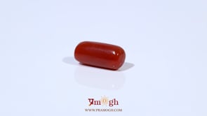 Red Coral - 3.31 Carat