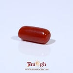 Red Coral - 3.31 Carat