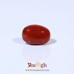 Red Coral - 3.29 Carat