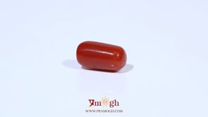 Red Coral - 3.77 Carat