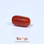 Red Coral - 3.77 Carat