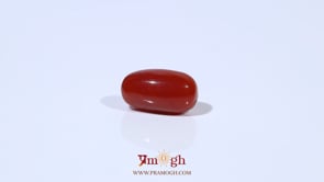 Red Coral - 3.41 Carat