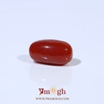 Red Coral - 3.41 Carat