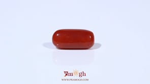 Red Coral - 3.6 Carat