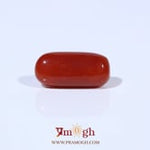 Red Coral - 3.6 Carat