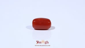 Red Coral - 3.62 Carat