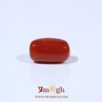Red Coral - 3.62 Carat