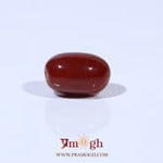 Red Coral - 3.32 Carat