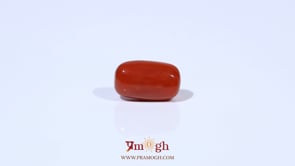 Red Coral - 3.81 Carat