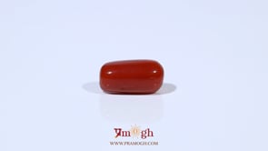 Red Coral - 3.6 Carat