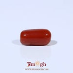 Red Coral - 3.6 Carat