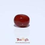 Red Coral - 3.34 Carat
