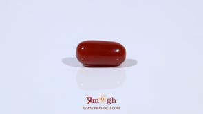 Red Coral - 3.76 Carat