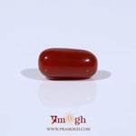 Red Coral - 3.76 Carat