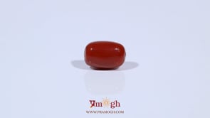 Red Coral - 3.3 Carat