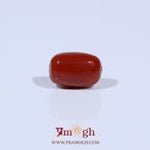 Red Coral - 3.3 Carat