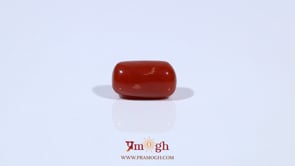 Red Coral - 3.03 Carat